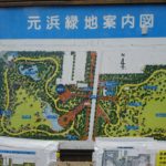 夏はわんぱく池で遊ぼう！元浜緑地（尼崎市）はお出かけスポットにおすすめ！