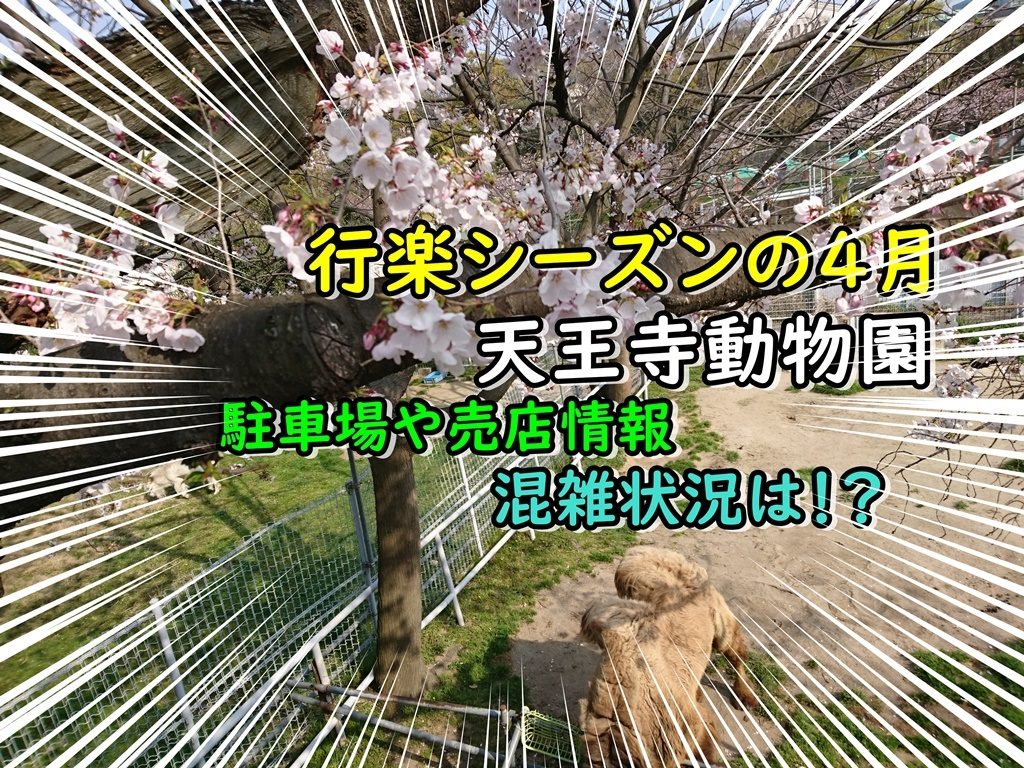 天王寺動物園でドリルと再開？駐車場や売店・混雑状況は！？