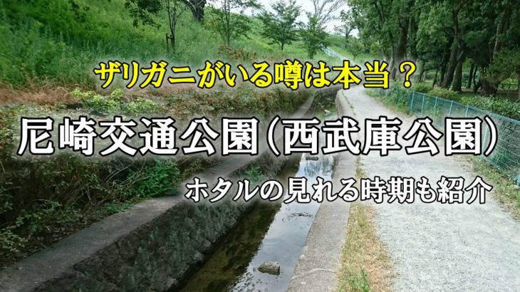 尼崎交通公園（西武庫公園）とザリガニ釣りスポット？（ホタルの時期も）