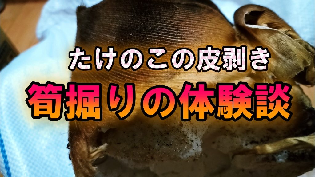 たけのこの皮剥きと筍掘りの体験談