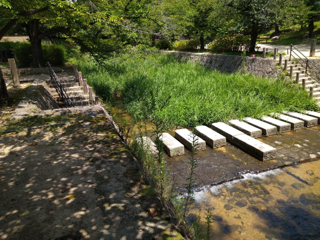 西宮市の夙川・北夙川公園付近で川遊び&魚捕り。ガサガサスポット